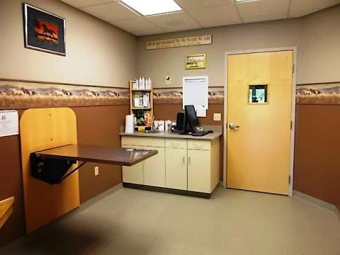 Jobs in Cicero Animal Clinic, P.C - reviews